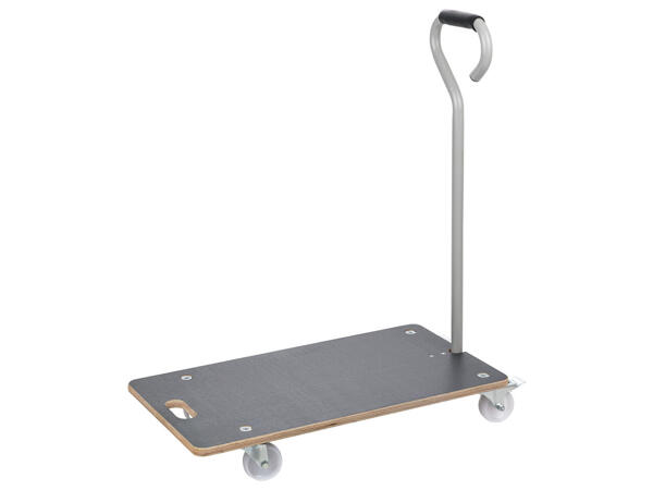 Universal Transport Trolley