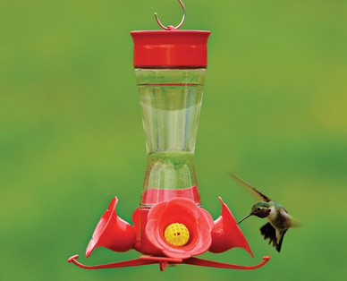 Gardenline Hummingbird Feeder With Nectar