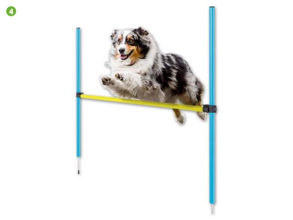Hunde Agility-Sortiment