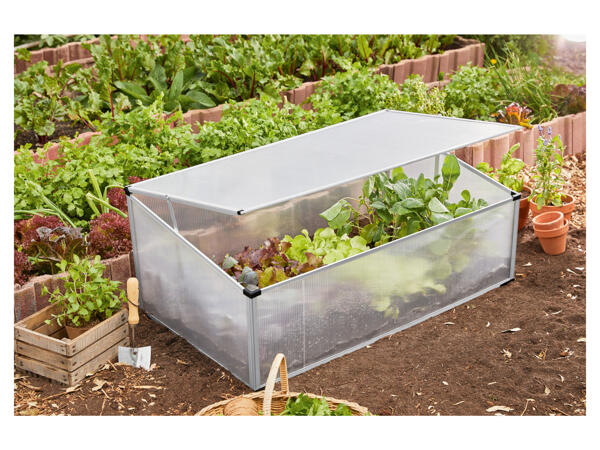 Cold Frame