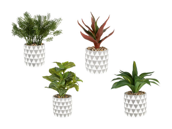 Plantes artificielles
