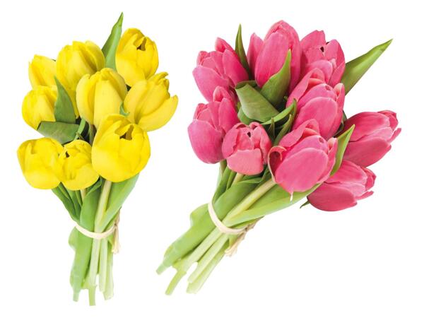 Tulpenstrauß