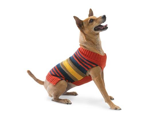 Heart to Tail 
 Pet Sweater