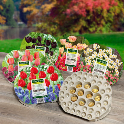 Blomsterløg i plantebakke