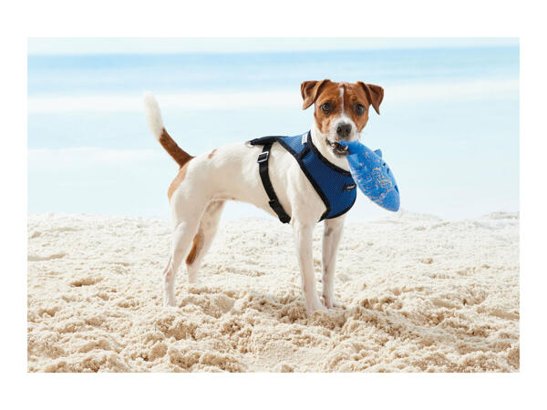 Zoofari Dog Harness
