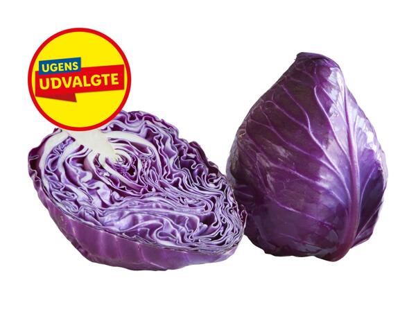 Dansk rød spidskål