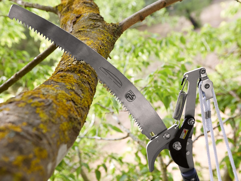 Pruning Shear