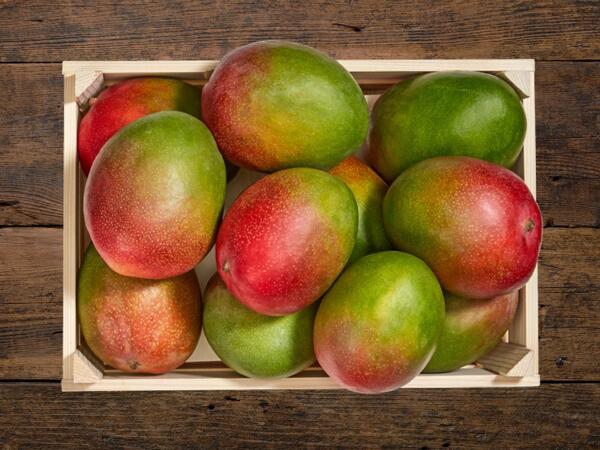 Mango