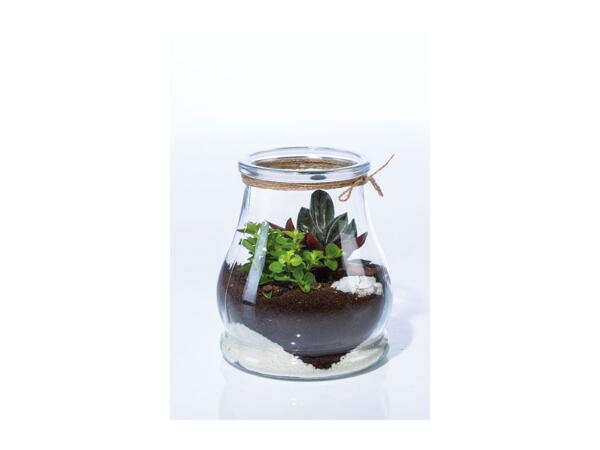 Mini Garden Terrarium