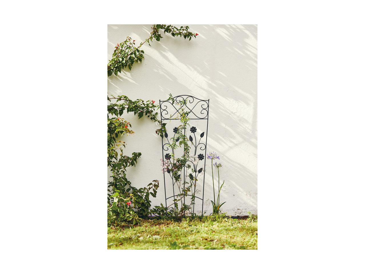 Florabest Trellis1