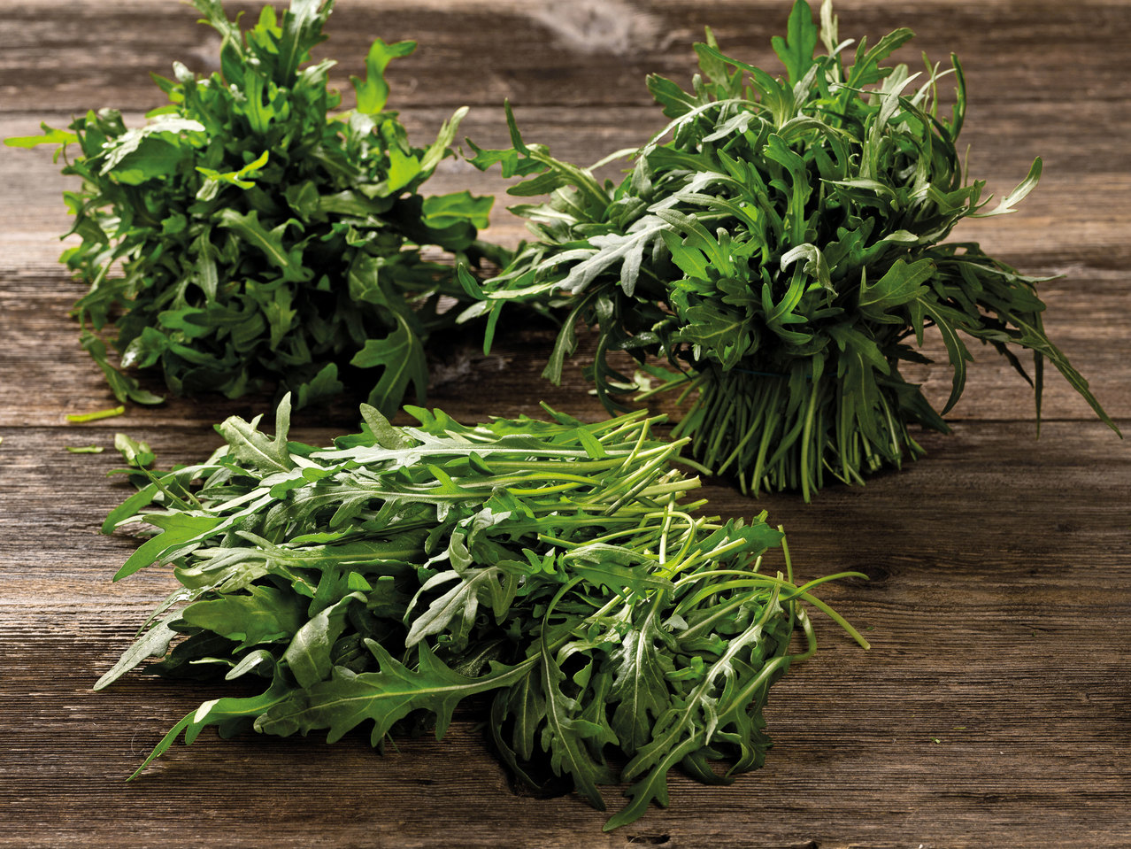Rucola-Salat