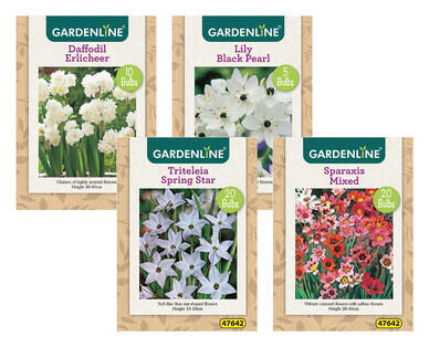 Assorted Packet Bulbs