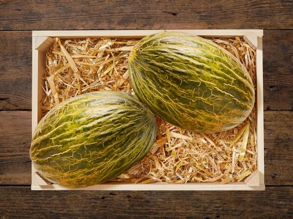 Melon Piel de Sapo