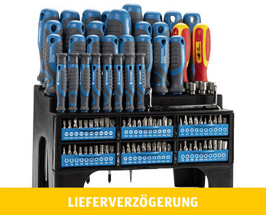 WORKZONE(R)
XXL SCHRAUBENZIEHER-/ BIT-SET, 100-TEILIG