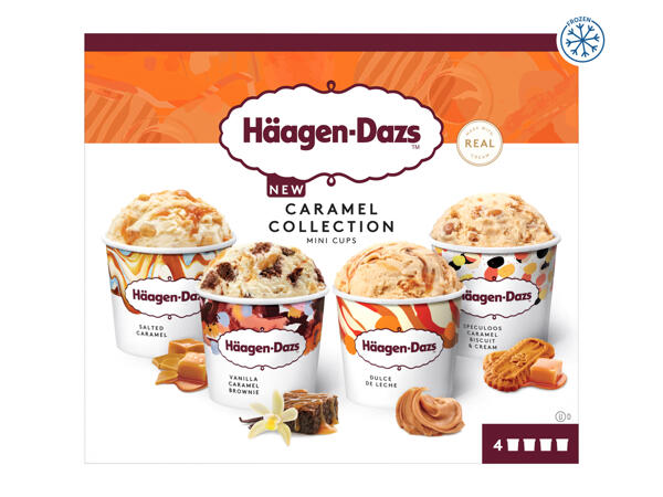Haagen Dazs Gelato Collection Chocolate Crunch