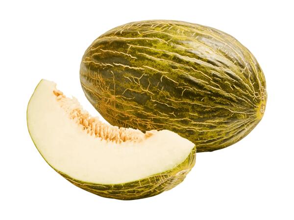 Melon doux Piel de Sapo