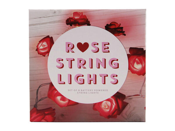 Blue Sky Studios Valentine's Gift