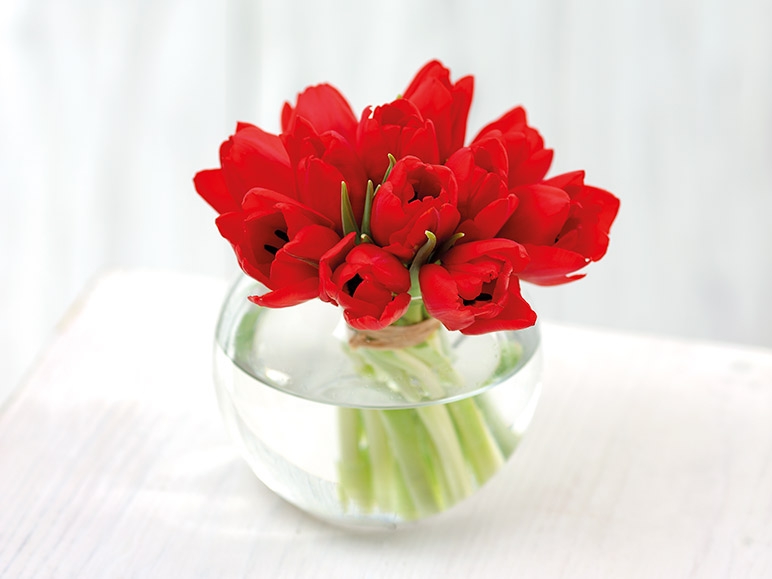 Deluxe Tulips