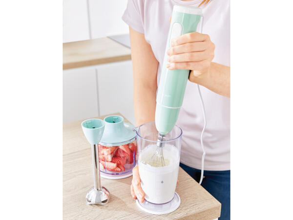Stabmixer-Set