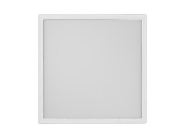 LIVARNO home Stropní LED svítidlo s pohybovým senzorem