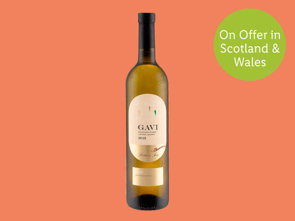 Italian Gavi