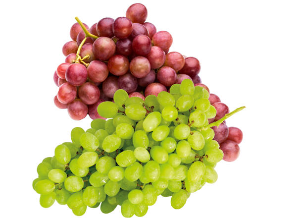 Trauben mix kernlos