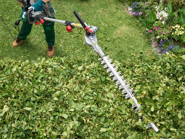 710W Long-Reach Hedge Trimmer