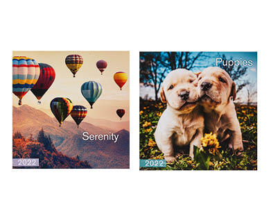 2022 Wall Calendar
