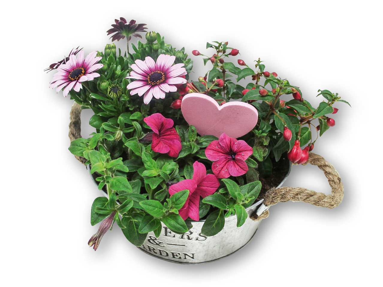 Mors dagssammenplantning