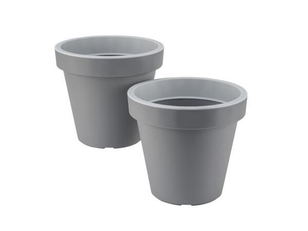 Plant Pot