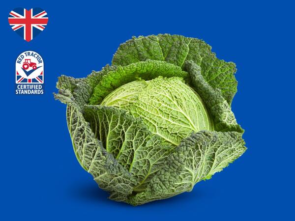 British Savoy Cabbage