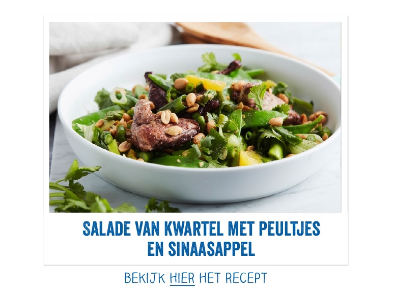 Salade van kwartel met peultjes en sinaasappel