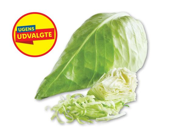 Dansk spidskål