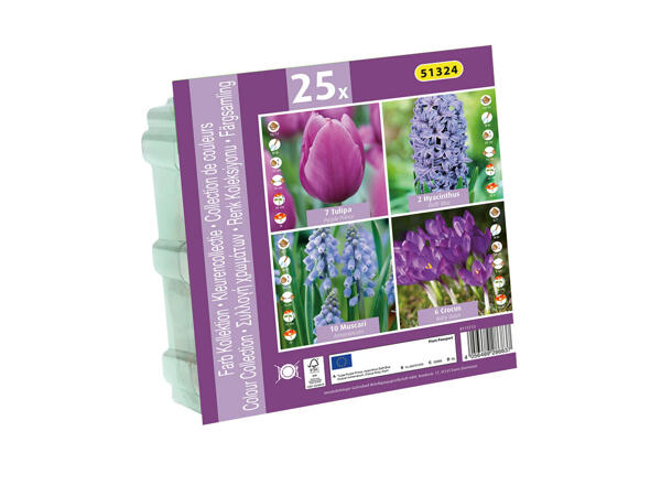 Assortiment de bulbes à fleurs sélectionnés
