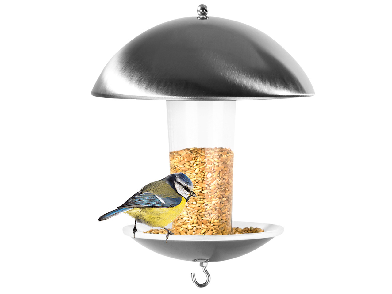 Bird House