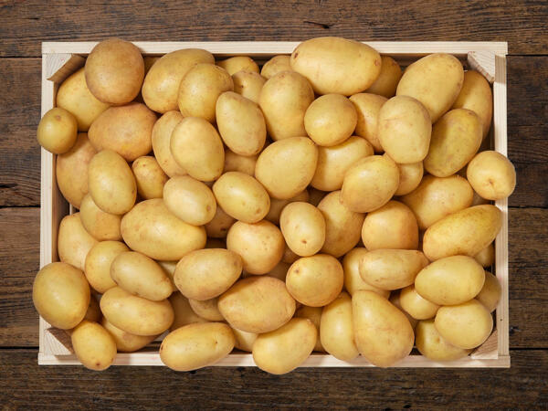 Patate farinose