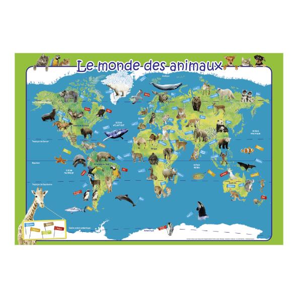 Livre d'exercices ou posters