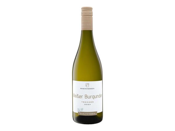 WEISSER BURGUNDER 2023 RHEINHESSEN
