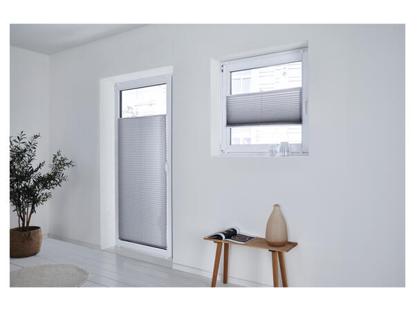 Pleated Blind