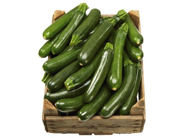 Zucchini