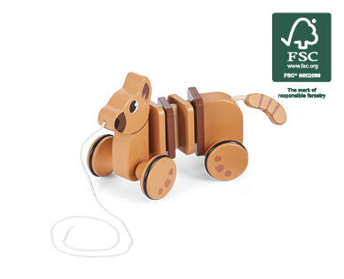 Wooden Pull-Along Toys with String