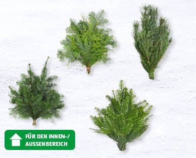 Tannengrün Handbunde