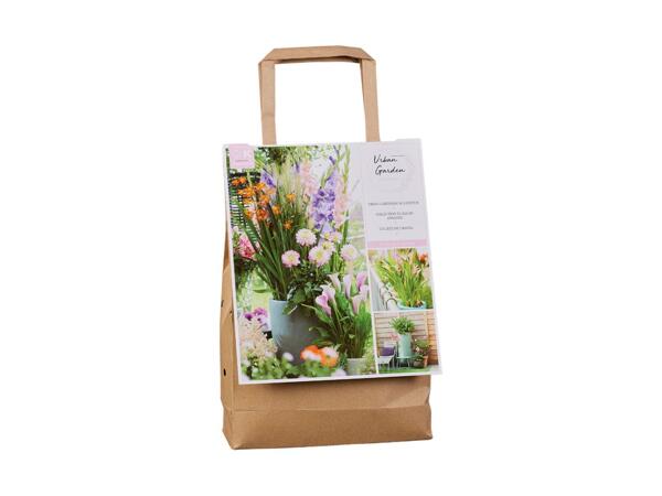 Sommerblomsterløg