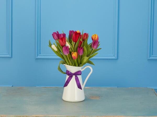Rainbow Tulips