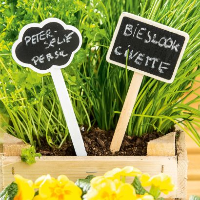 Étiquettes pour plantes, 6 pcs