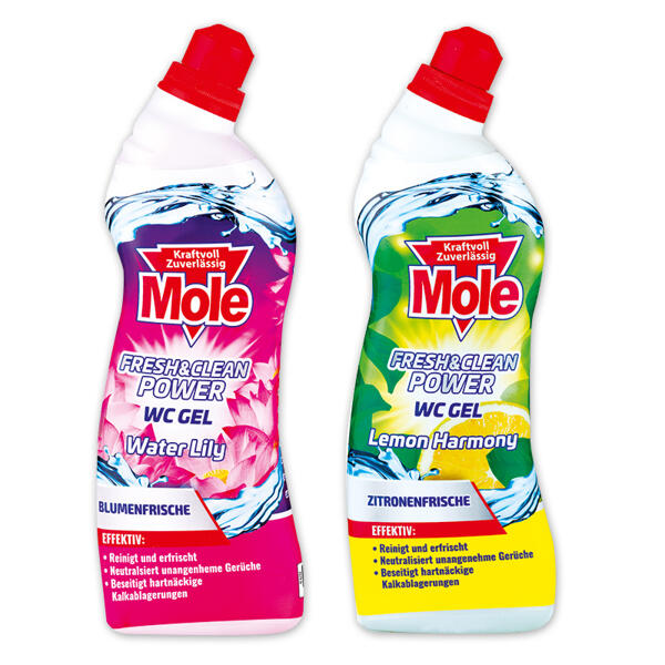Fresh & Clean Power WC Gel