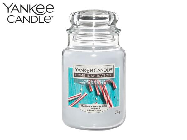 Yankee Candle Candy Cane Forest Scented Candle