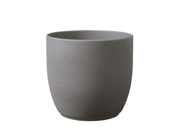 Houseplant Ceramic