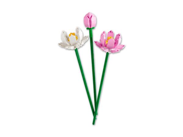 Blume