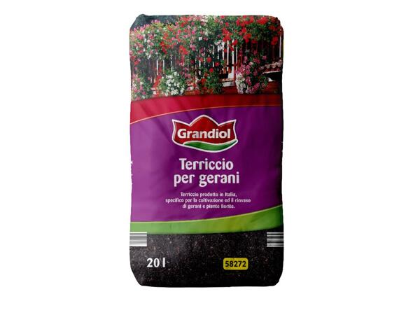 Potting soil for geraniums
